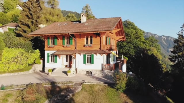 vimeo placeholder image